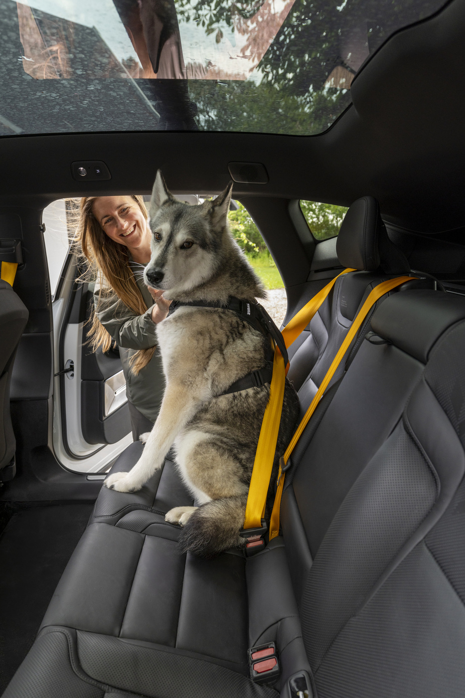 Thule Cappy S 771001 | Szelki transportowe dla psa