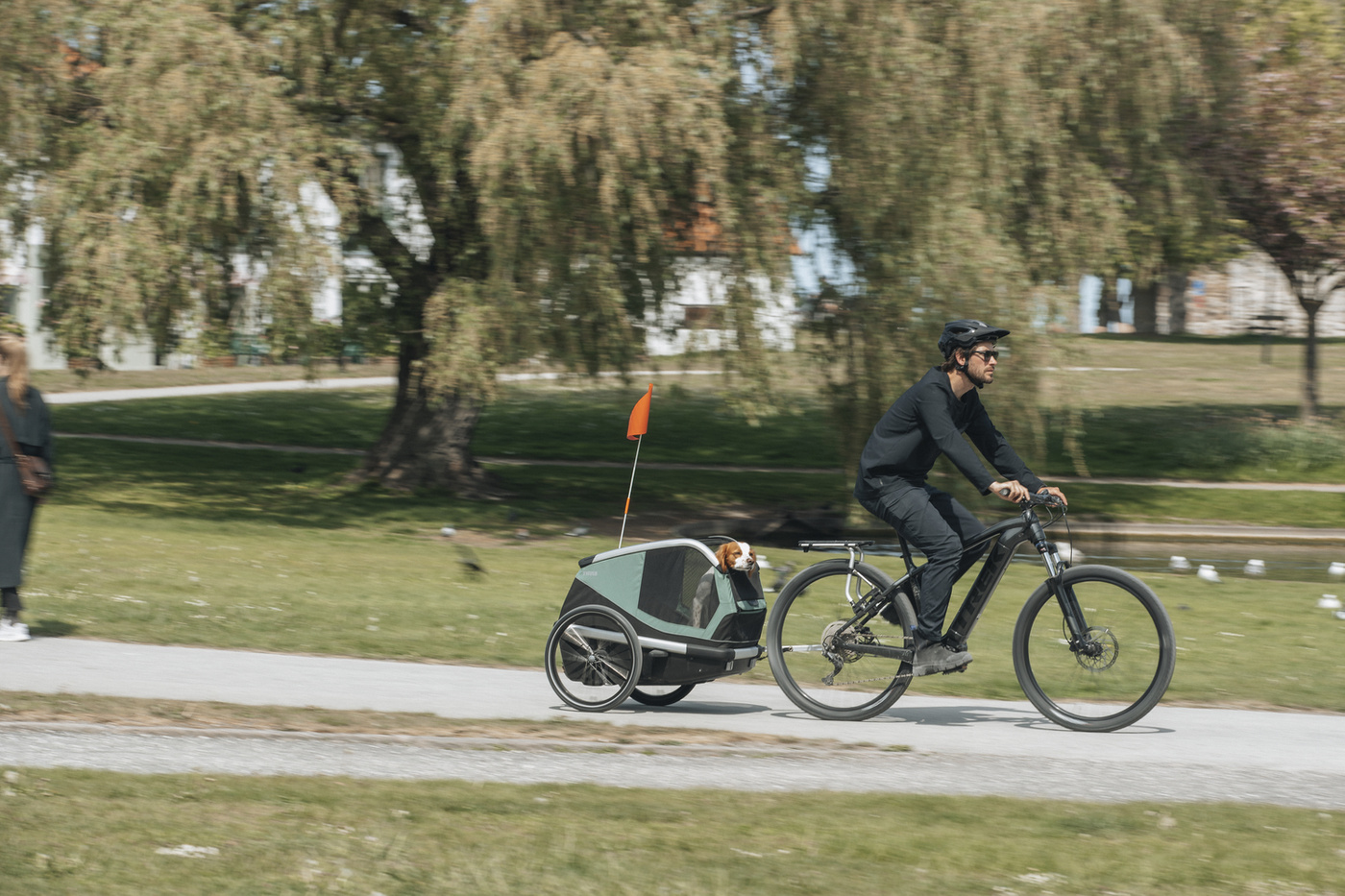 Thule Bexey Hazy Green L 800001 | Przyczepka dla psa