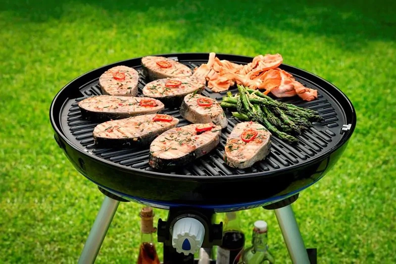 Ruszt grillowy BBQ Grid 50 8910-101