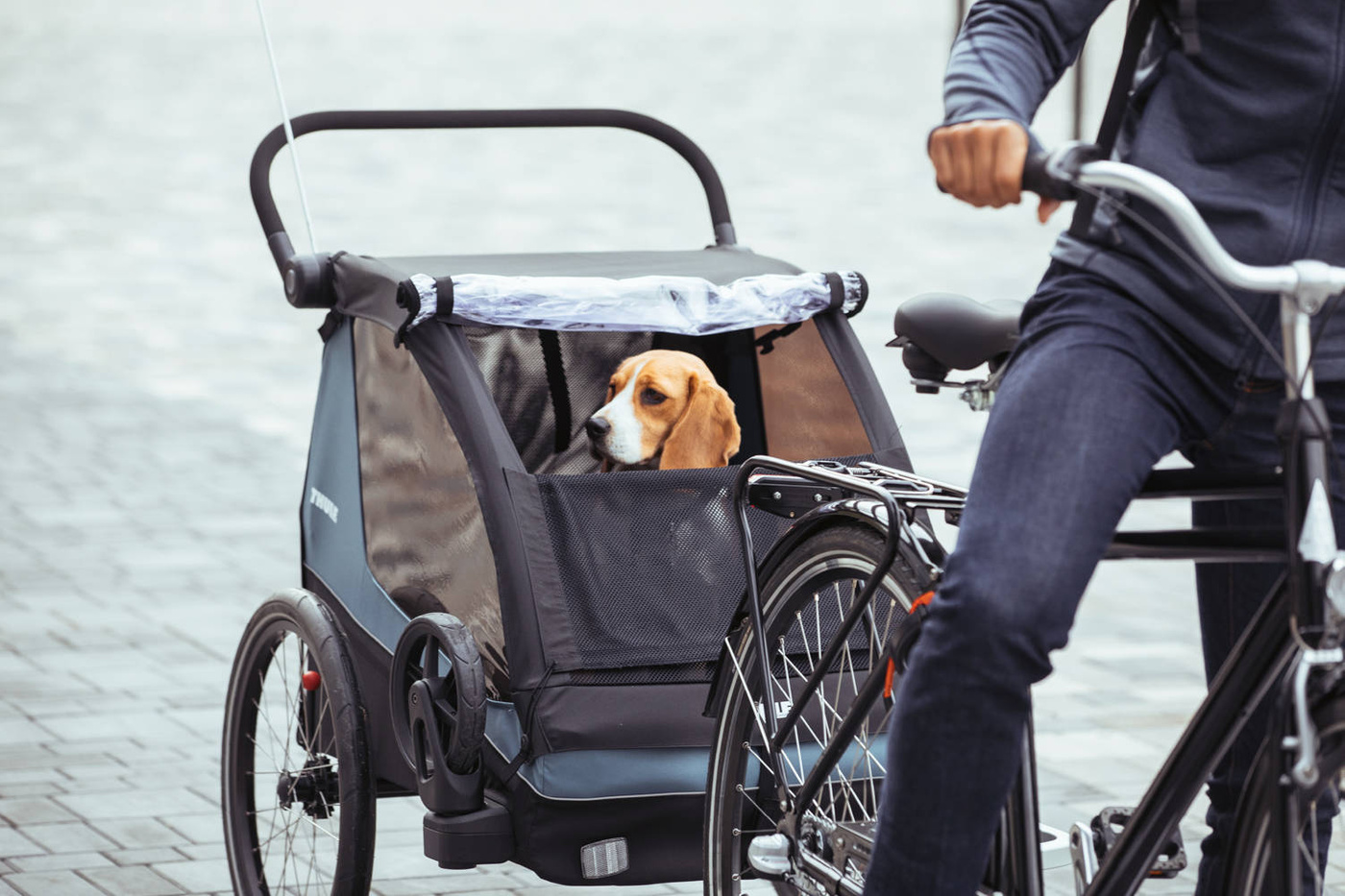 Thule Courier- Dog Kit 20301001