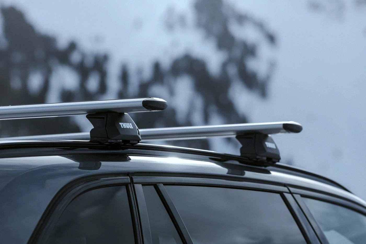 Bagażnik dachowy | Belki | Thule BMW X5 F15 2014-2018 + Smycz KapitanHak