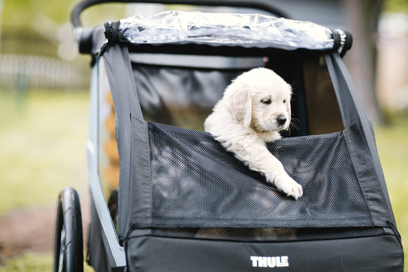 Thule Courier- Dog Kit 20301001