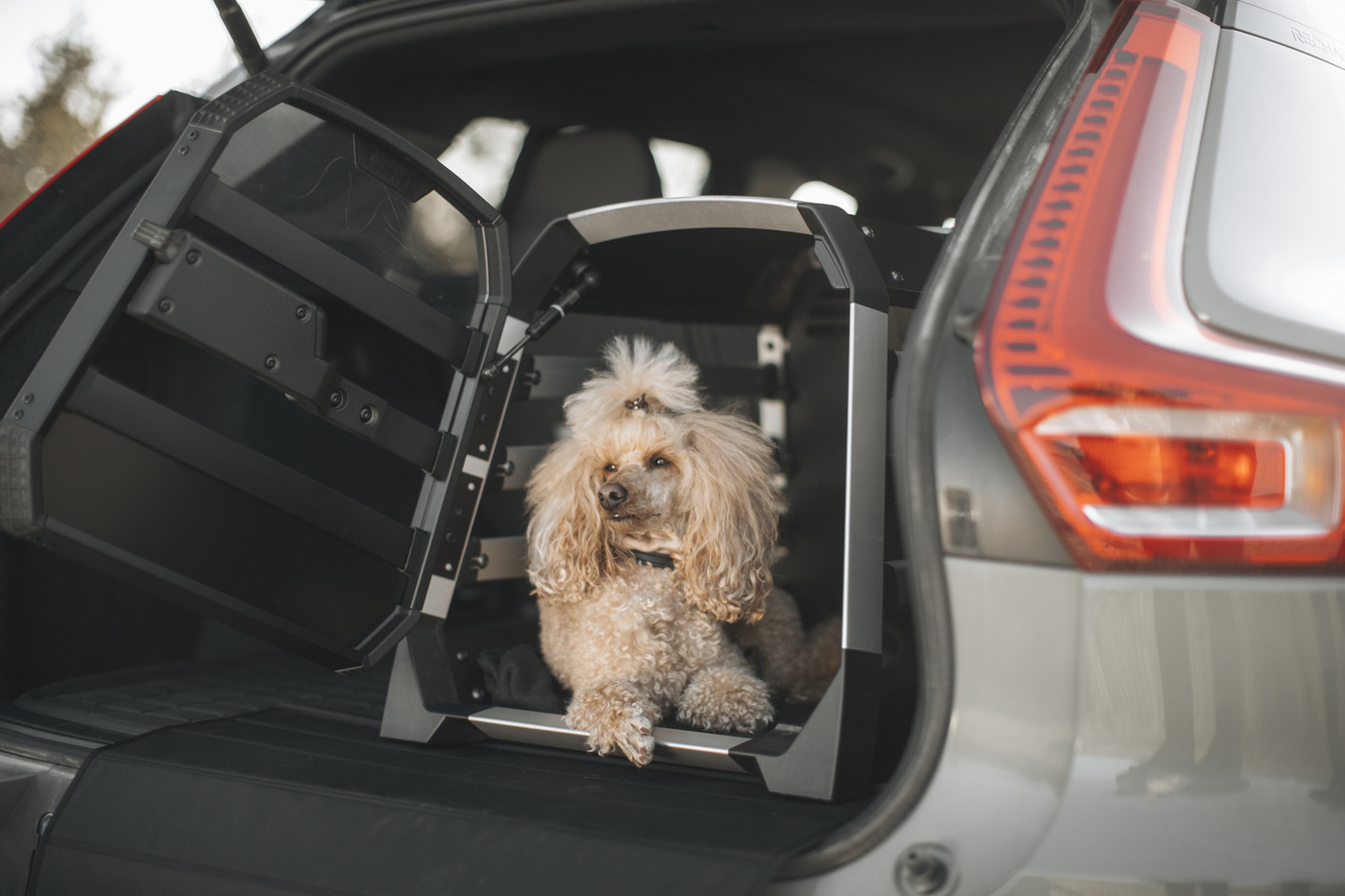 Klatka transportowa dla psa Thule Allax XL Compact | 770005