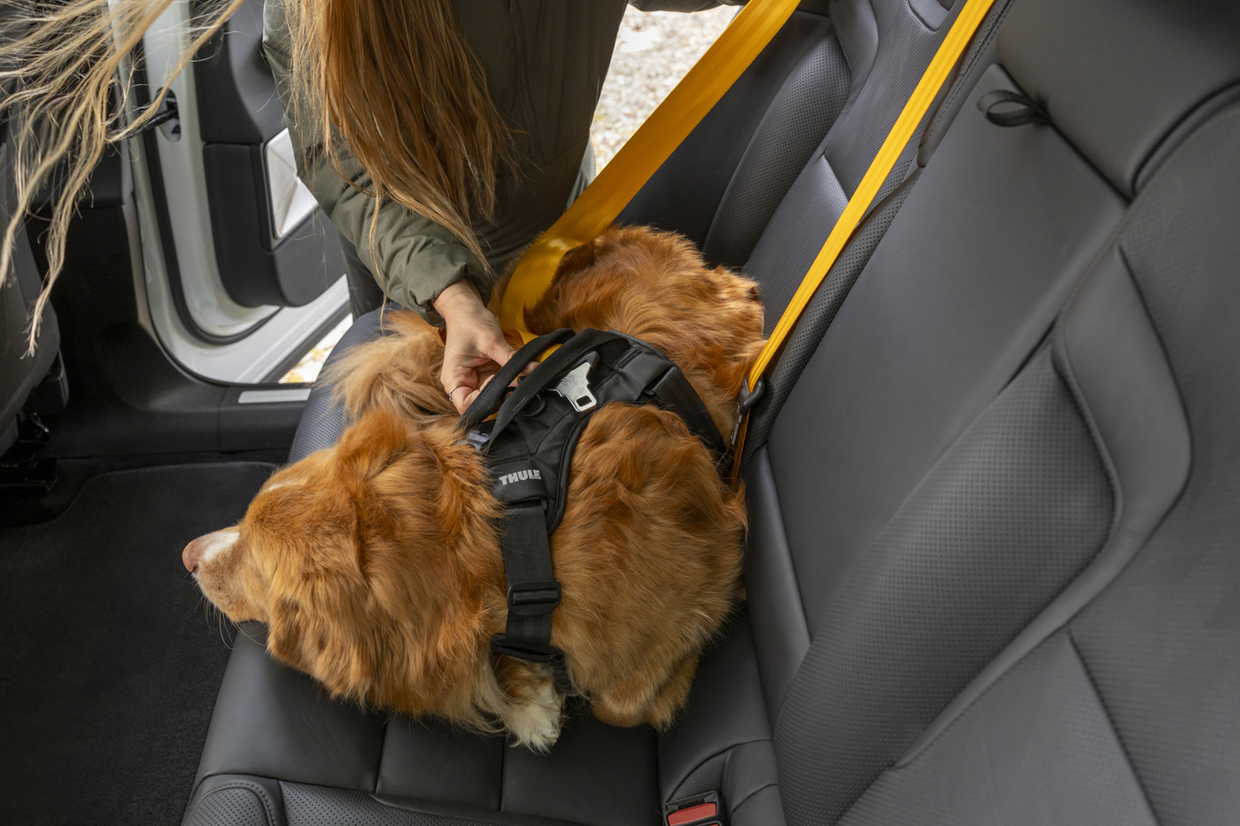Thule Cappy S 771001 | Szelki transportowe dla psa