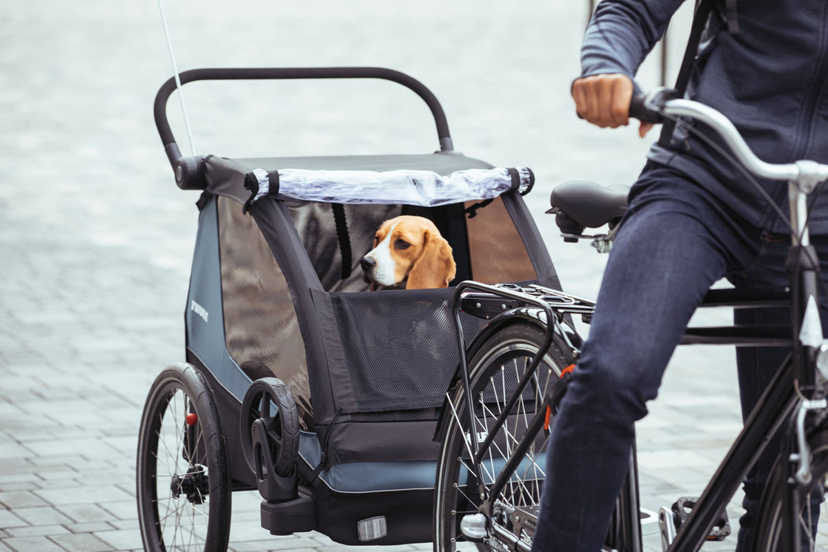 Thule Courier- Dog Kit 20301001