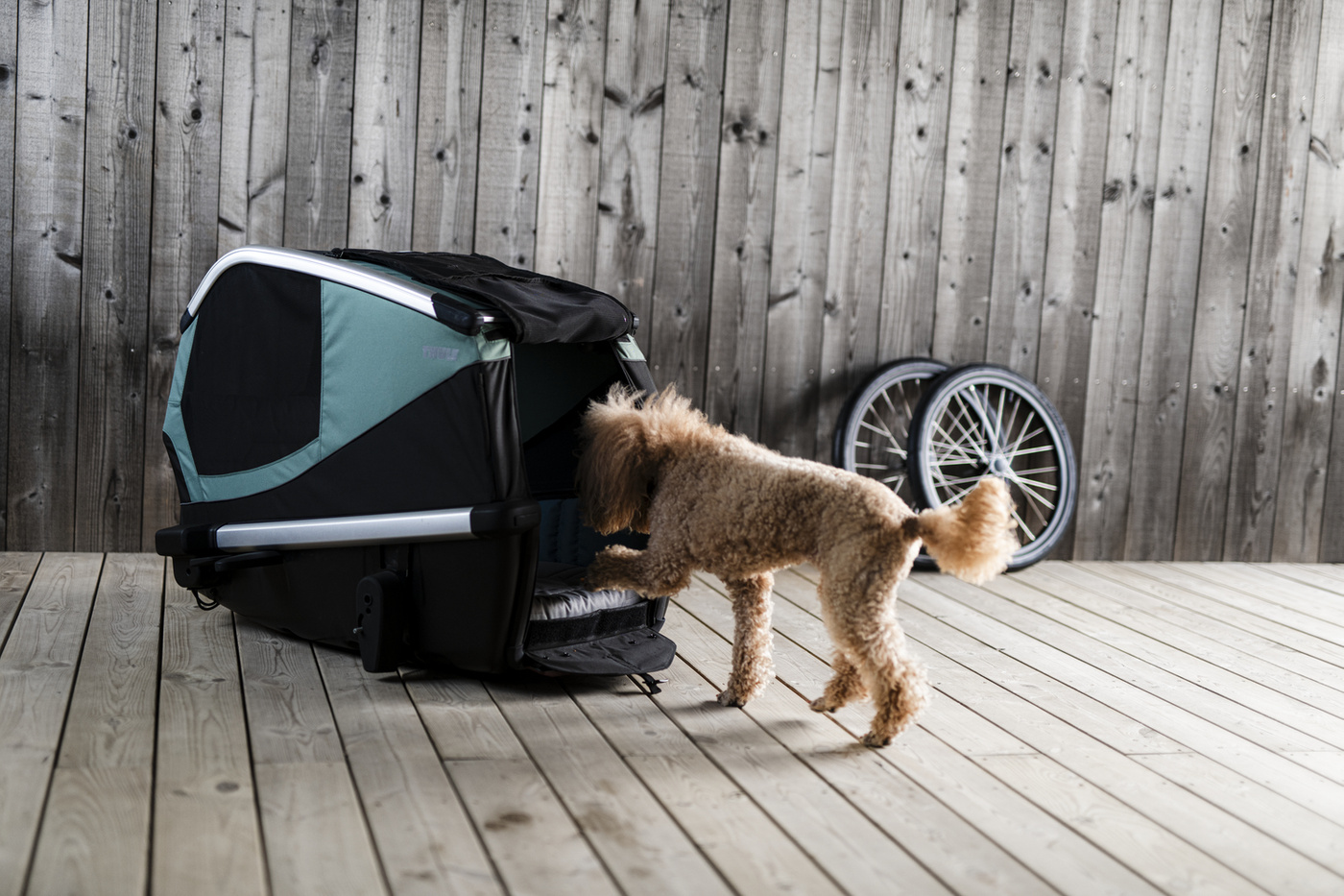 Thule Bexey Hazy Green L 800001 | Przyczepka dla psa