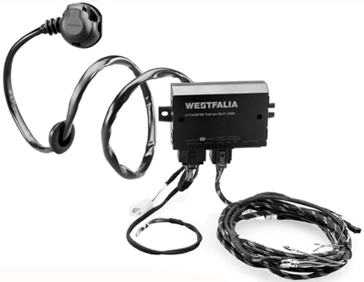 Wiązka Westfalia  307386300113