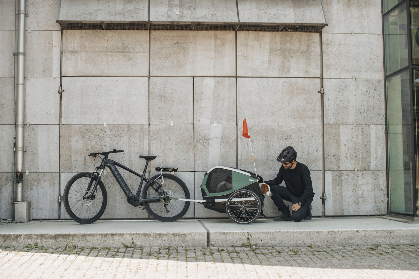 Thule Bexey Hazy Green L 800001 | Przyczepka dla psa